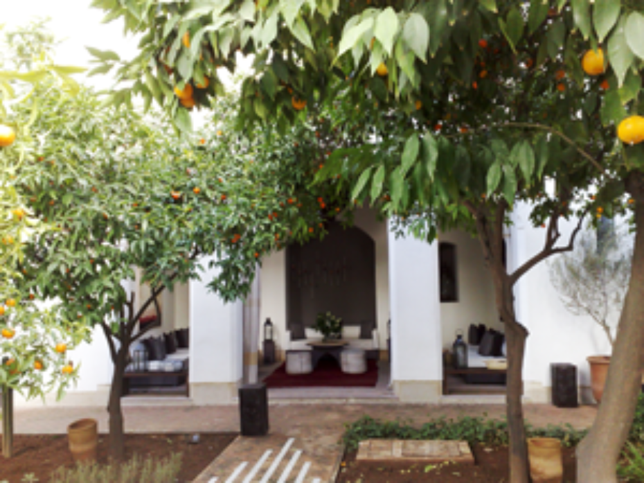 Von Riads und Kasbahs – Marokkanische Hotelkultur - BEGEISTERNDES